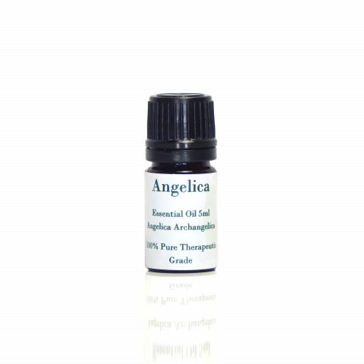 Angelica Archangelica essential oil