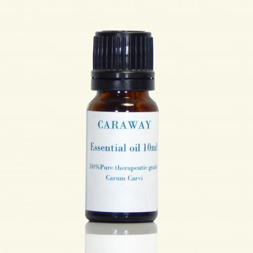CARAWAY-Carum Carvi