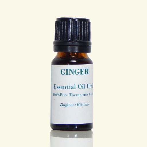 Ginger Essential Oil - Zingiber Officinale