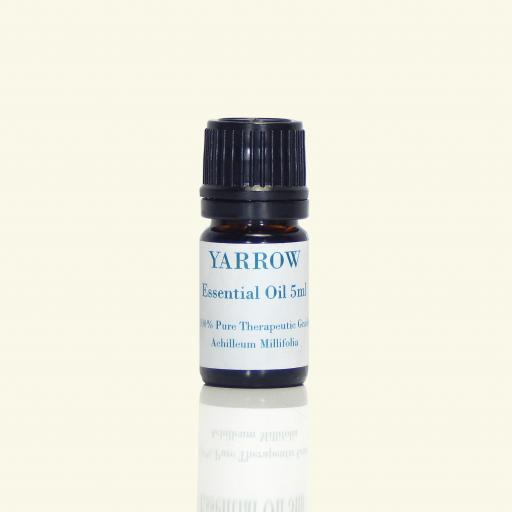Yarrow Essential Oil - Achillia Millefolium