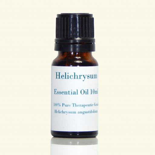 Helichrysum Essential Oil - Helichrysum angustifolia