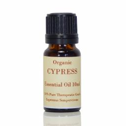 Organic Cypress Sempervivens.png